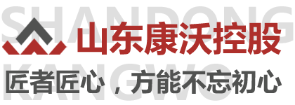 菏柴動力系統(tǒng)（山東）有限公司